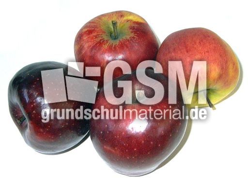 Vier-Äpfel.JPG